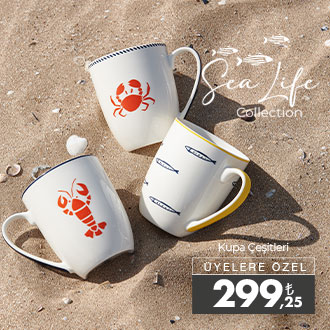 Sealife Collection